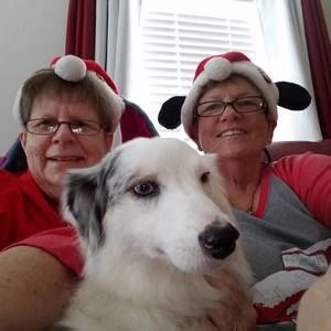 Meet your Posher, Deann